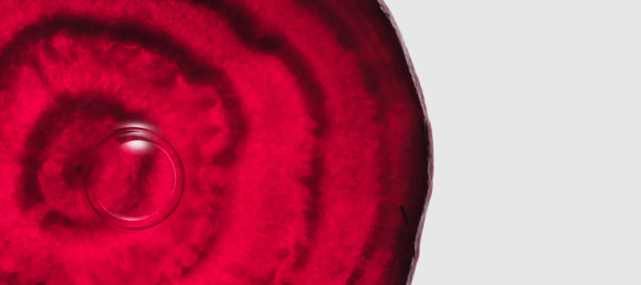 BEET ROOT POWDER